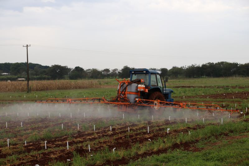 ACHA7_Christiane_Comas