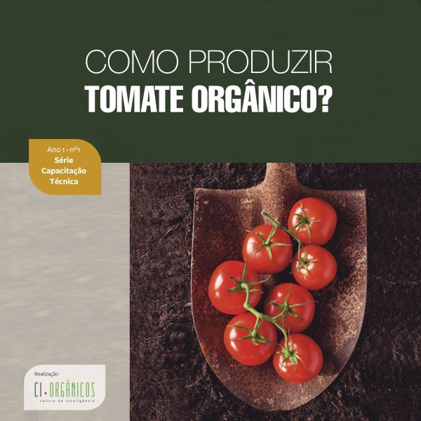 Como produzir tomate-Capa