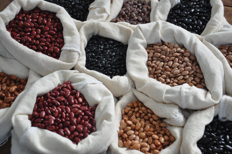 DSC_1301-Credito Embrapa