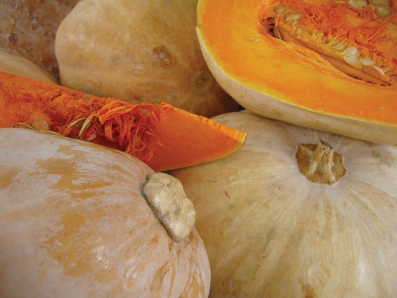 Feira RJ-Foto Cristina Baran