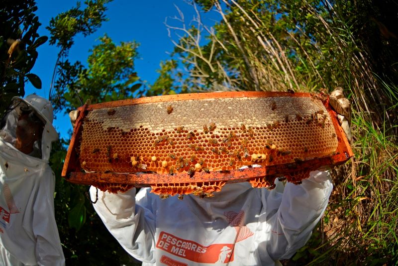 -PHI6885 Foto PHILIPE MEDEIROS