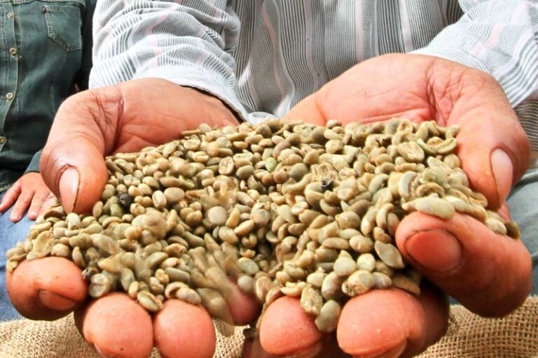 -Rosineia&Hugo-Credito Rodrigo Czekalski-La Imagen