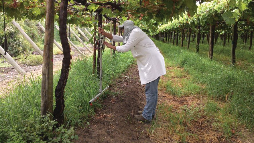 Submateria-Precisao com simplicidade