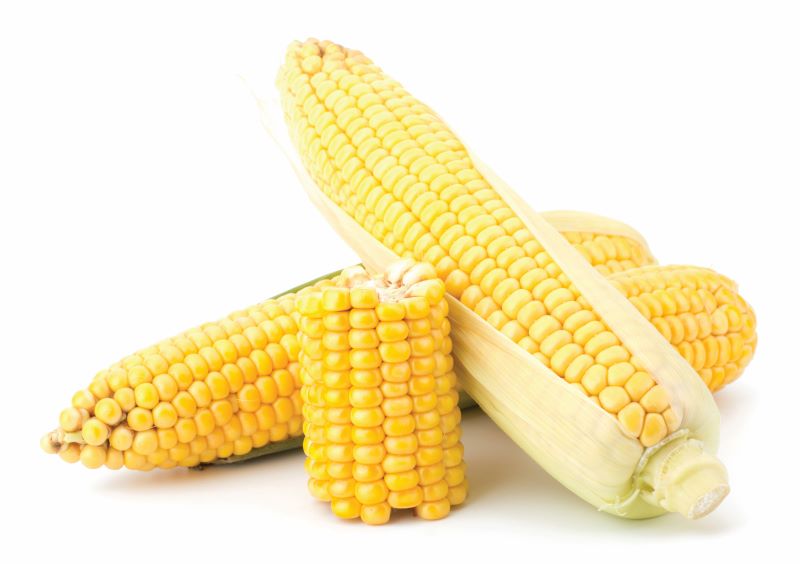 -shutterstock_192163661