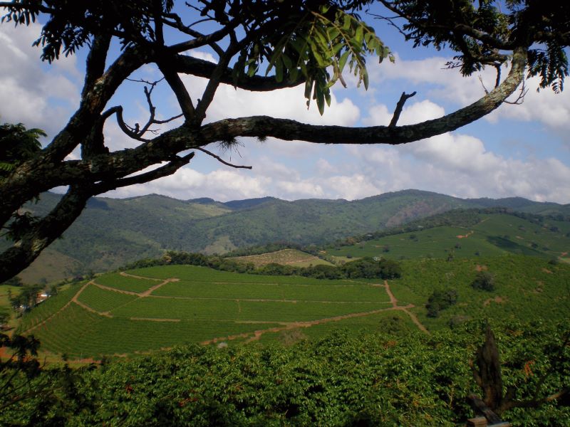 ABRE-Cafe Sertao 2011