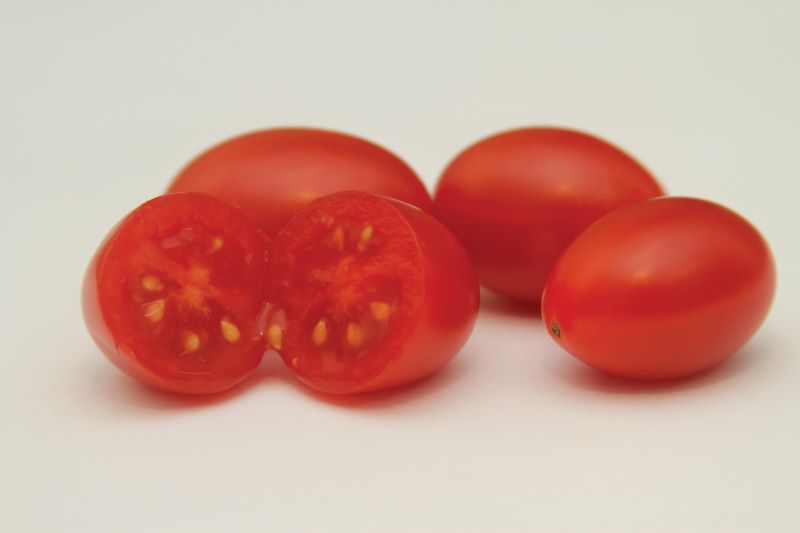 BRS Zamir_Leandro Lobo