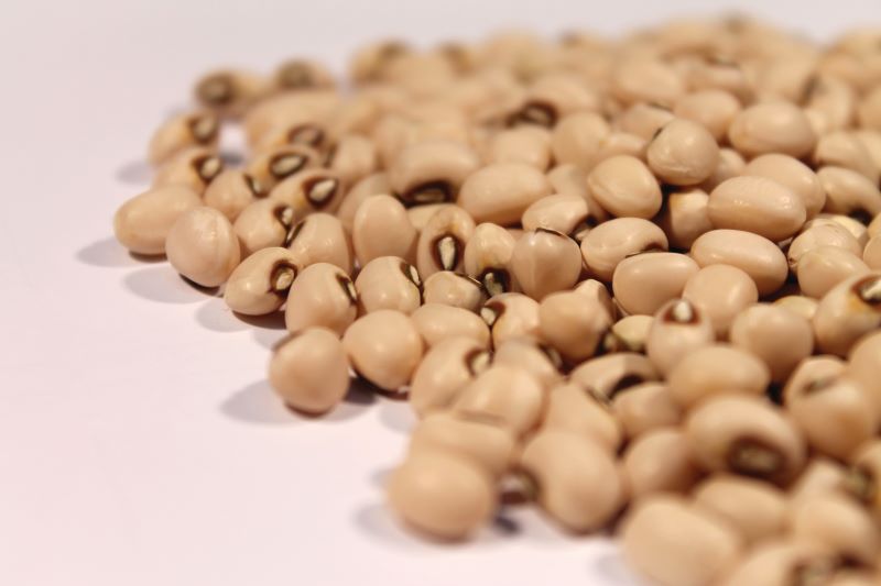 -Creditos Fernando Sinimbu