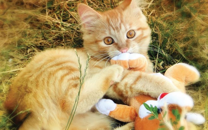 Viagem-artleo.com-26108