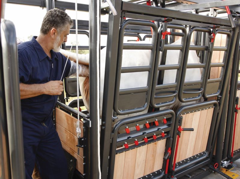 Inseminacao artificial