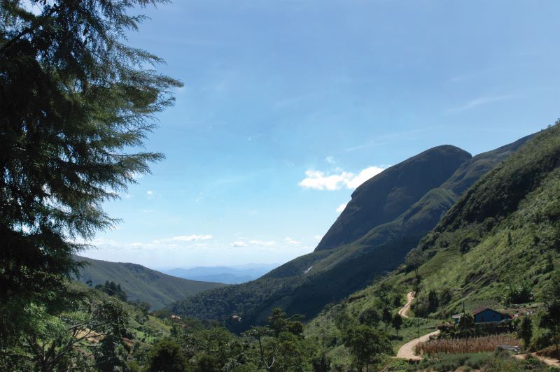 Taquaril Pedra do Elefante