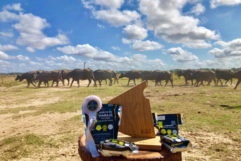 Queijo-do-Marajo_Foto-Divulgacao-Fazenda-Sao-Victor