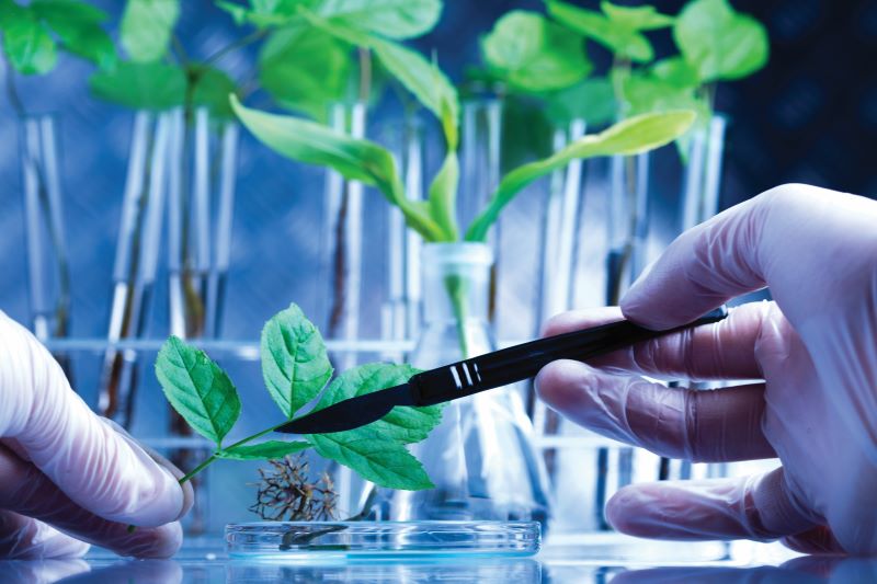 0-Depositphotos_7420776