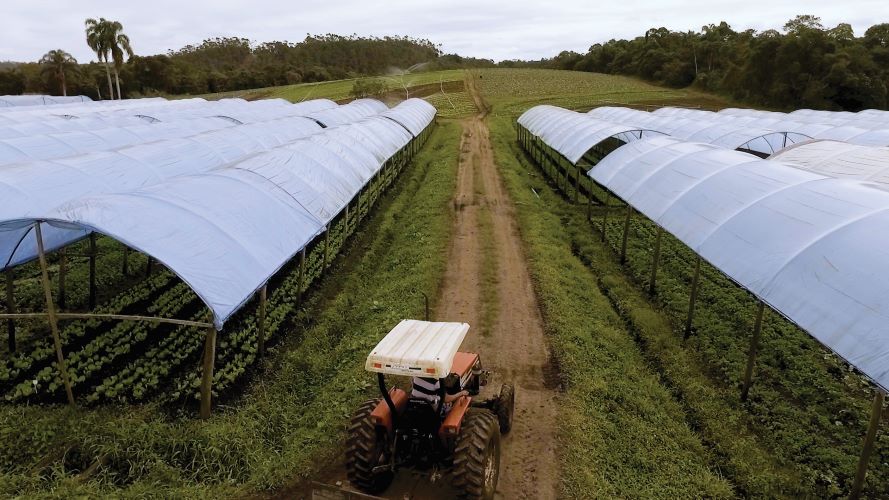 0 -Nutrir-6-Local Organicos Direto da Serra-Mogi SP-Foto Baga Defente