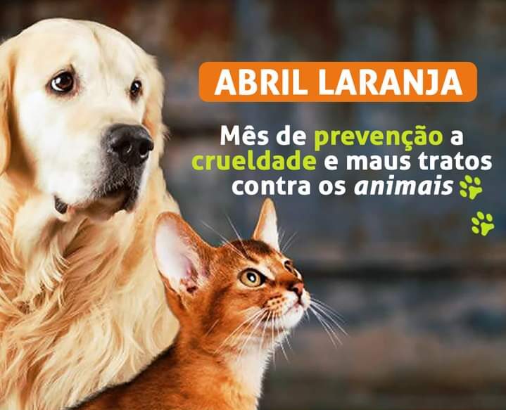 FB_IMG_1618452042020