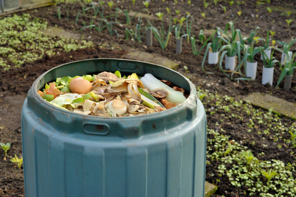 compost-bin