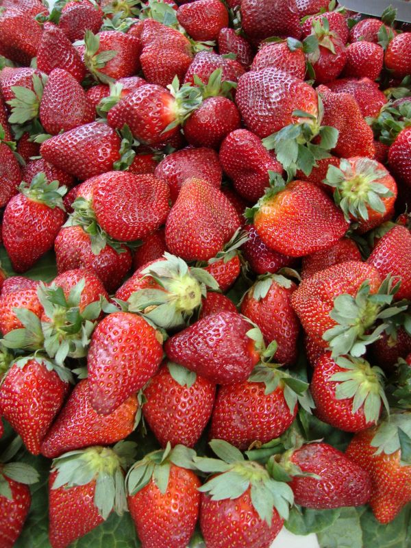 Comercializ Feira RJ-Foto Cristina Baran