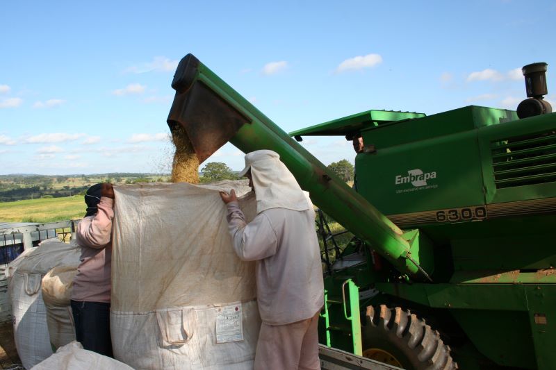 IMG_4243-foto Sebastiao Araujo