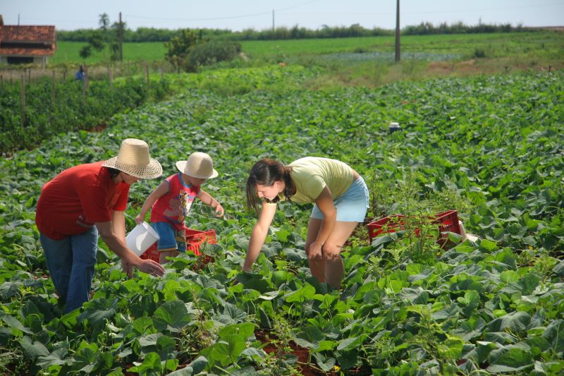 NR_9403 – Nilton Rolin