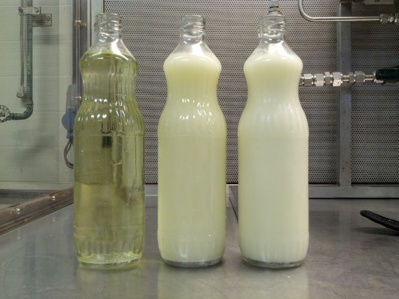 soro leite-Luiz Fernando-Embrapa Agroind Alim (1)