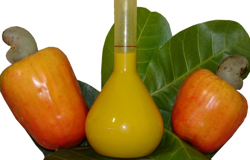 Pigmento caju-Embrapa Agroind Tropical