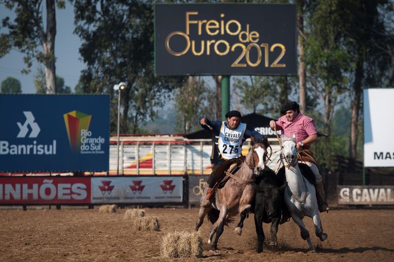 Tarlis Schneider-Especial Expointer 2012