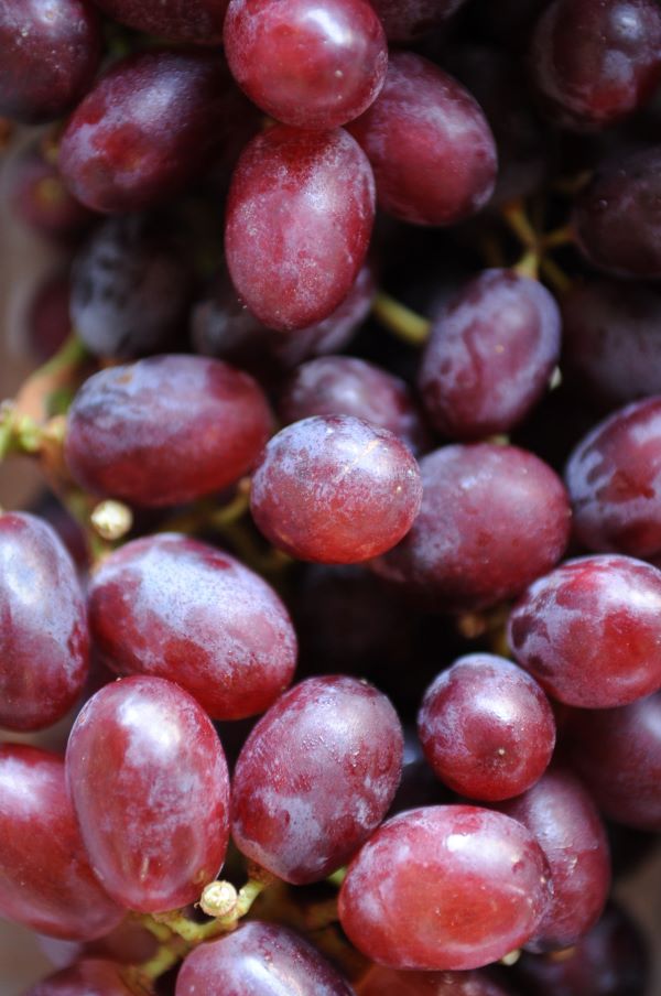 Uvas-Divulg Ass Imprensa