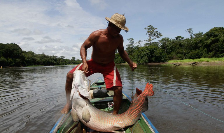 541204c1-e374-41c7-bb8c-1631c8aa3d6f