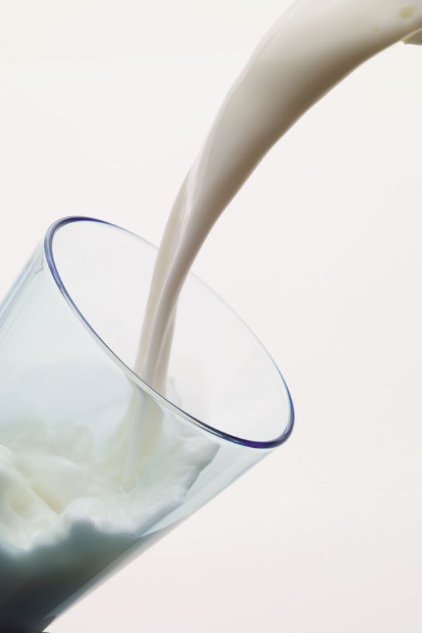 Derramando leite-CDN Com Corporativa