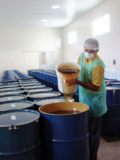 grande-mel2 fundacao BB – Poço Verde (SE)