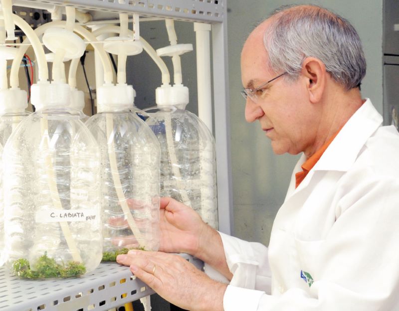 Biorreator – Claudio Bezerra