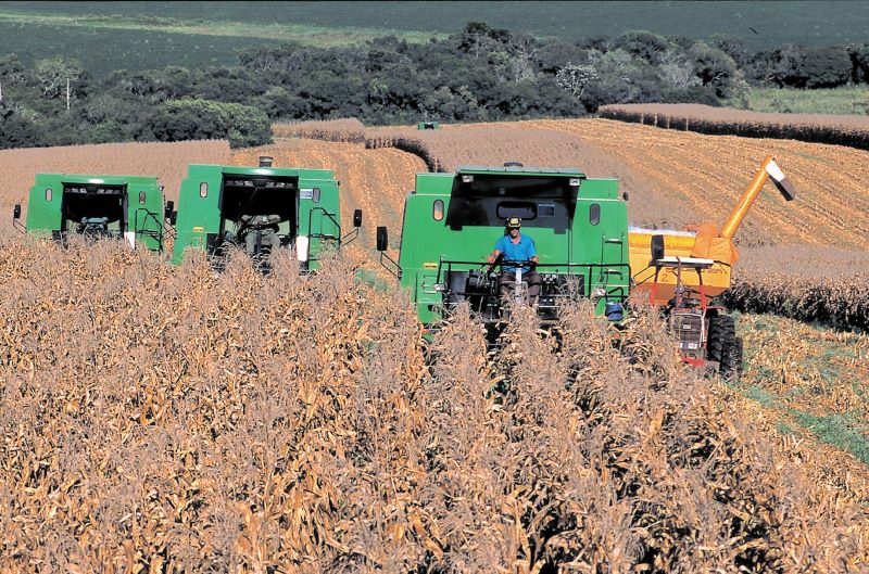 Colheita-Conselho Infor s Biotecnologia (CIB)