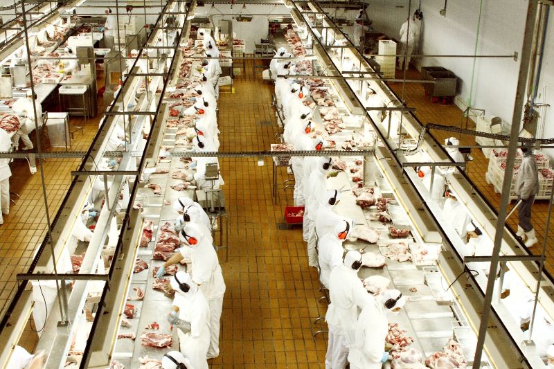 Ind carne suina-Alexandre Marchetti-ABIPECS