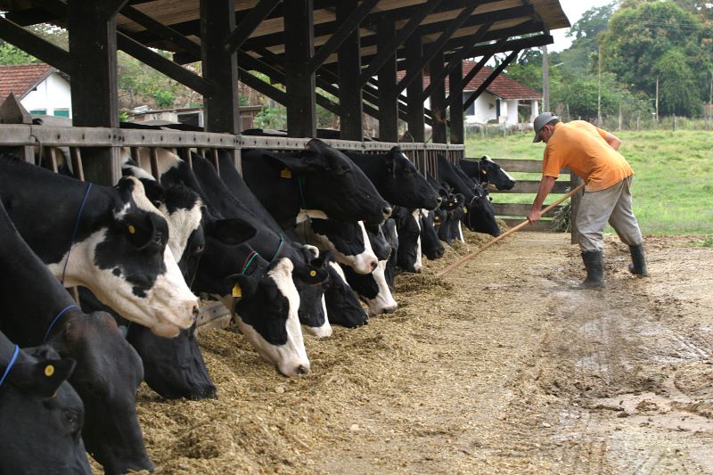 Abertura-foto Embrapa Gado de Leite