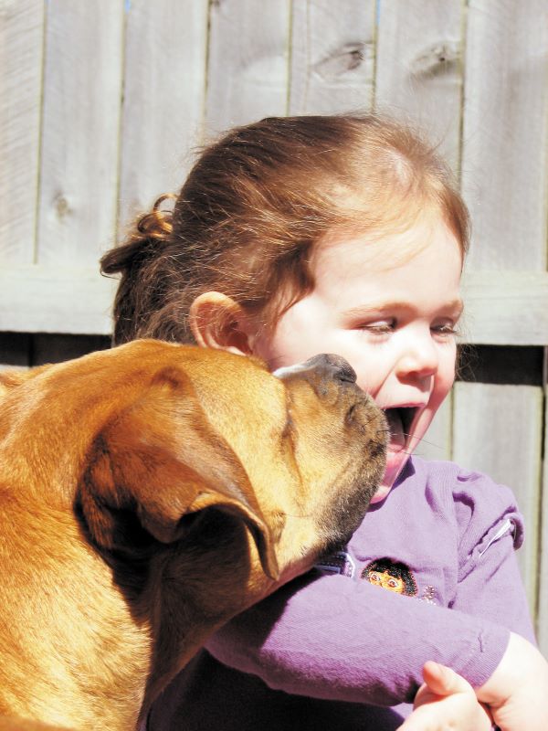 Cachorro com crianca-Vetnil