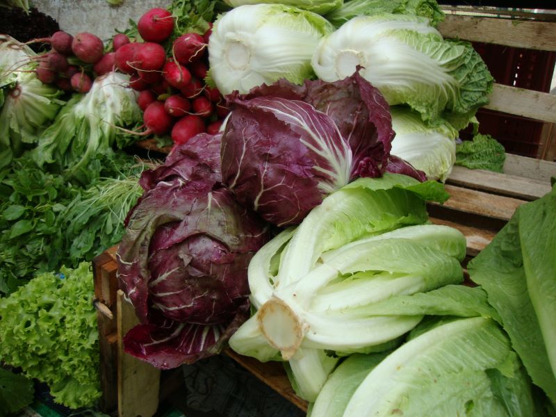 Comercializacao Feira RJ-Cristina Baran