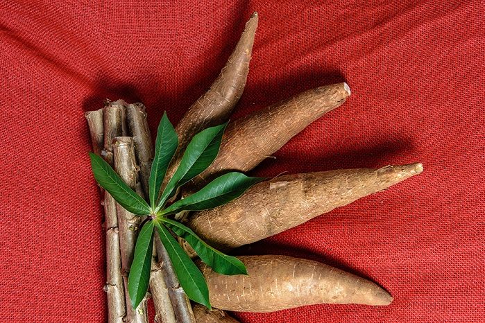 IMG_002_MANDIOCA_editado