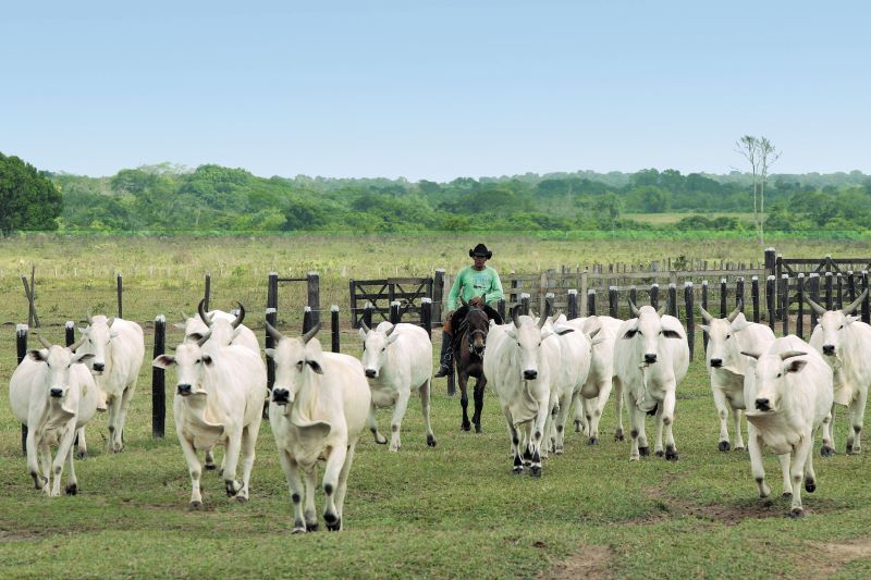 Lucivaldo Sena-Ag Para