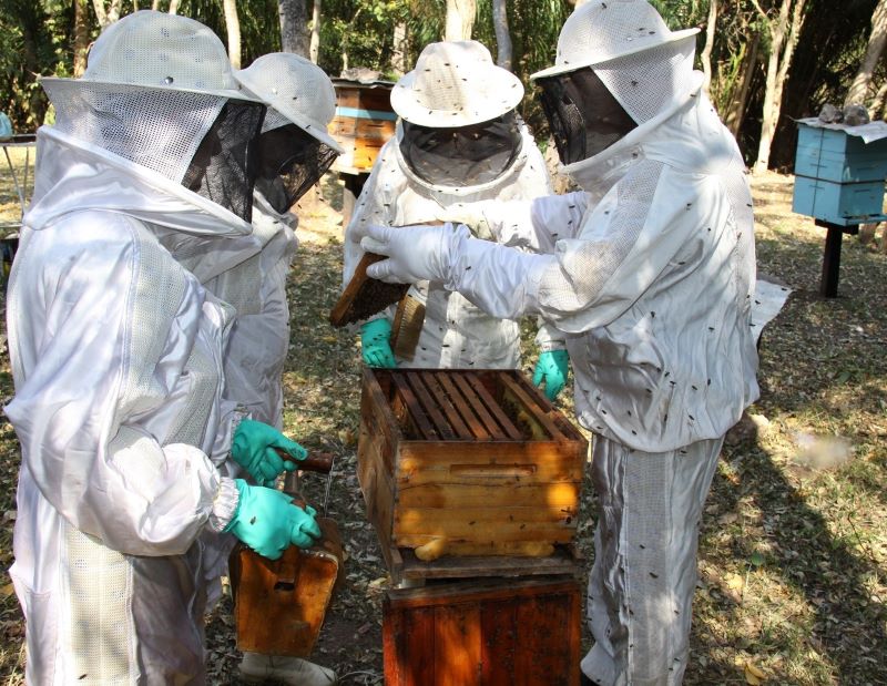 apiecoturismo-Sociedade Nacional de Agricultura