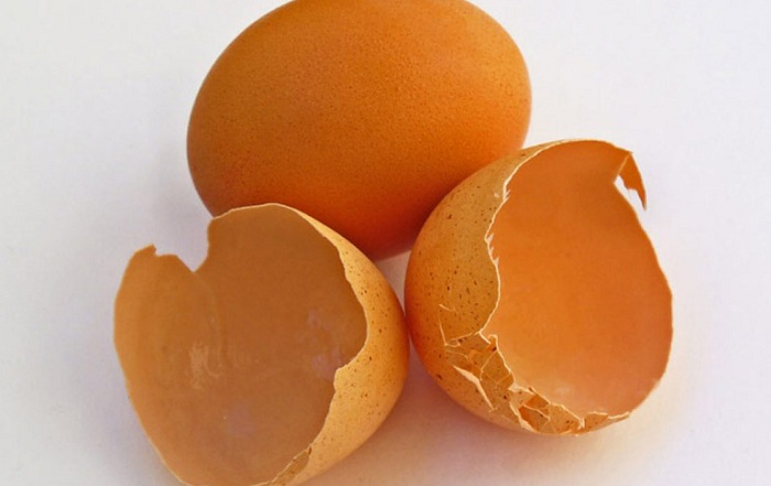 Casca-de-ovo-como-adubo-3