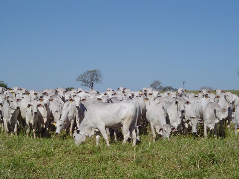 Femeas sao valorizadas