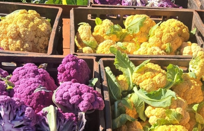 1 – couve-flor colorida
