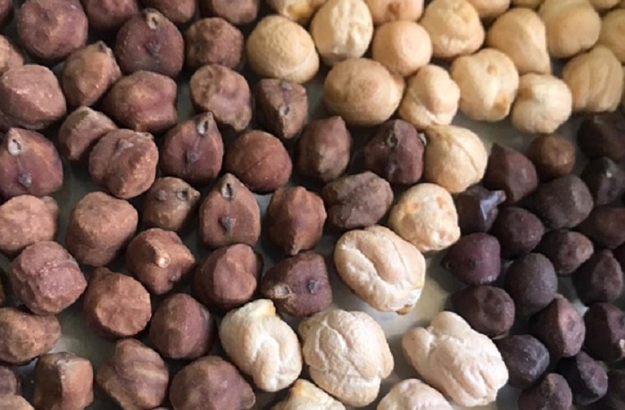 4 – IMG_003_Foto_ Embrapa