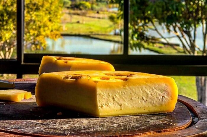 Queijo 1 – Tereza Boari