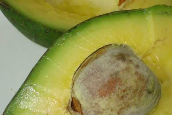 Abacate – Foto Cristina Baran