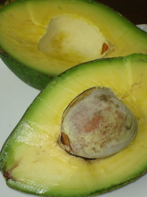 Abacate – Foto Cristina Baran