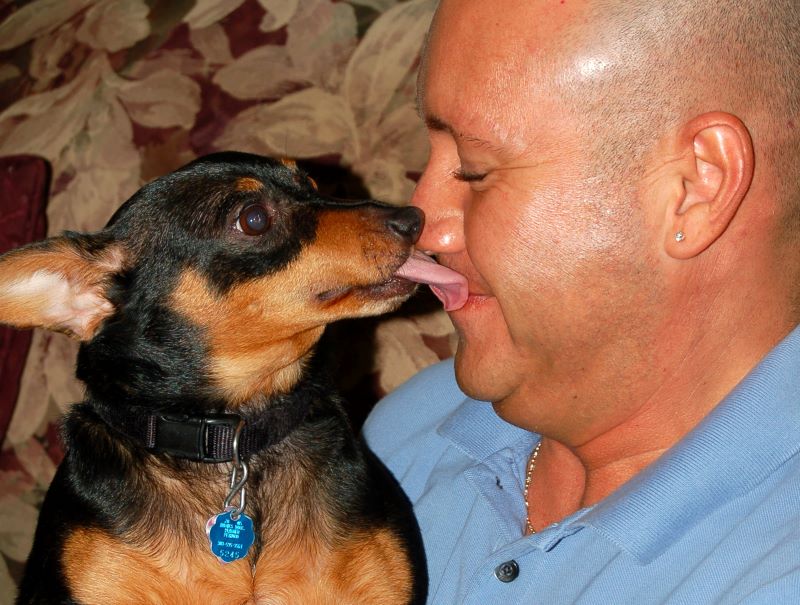 Foto Cachorro com dono