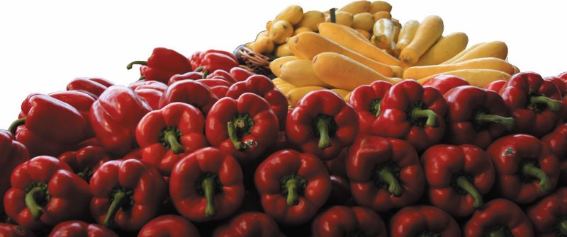 Pimentoes-recortado