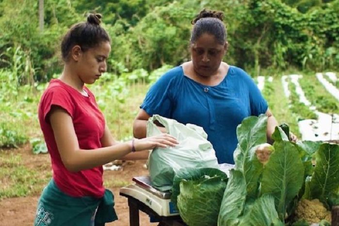 agroindústria_emater_mg