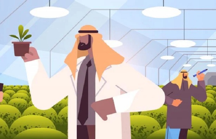 07-768x400_Capa_Shutterstock