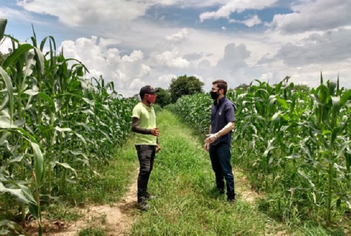 Professor orientador Vinícius Calou e aluno residente Luís Luna em atividade_Mapa